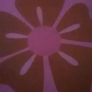 Meet your Posher, Latisha